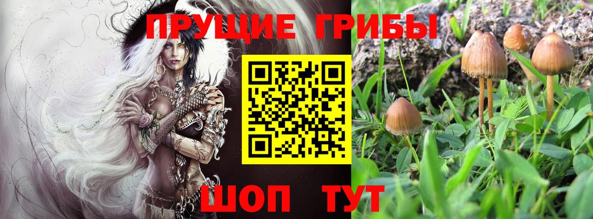 Псилоцибиновые грибы Cubensis  Вход с VPN  Мирный  Псилоцибиновые грибы GOLDEN TEACHER 