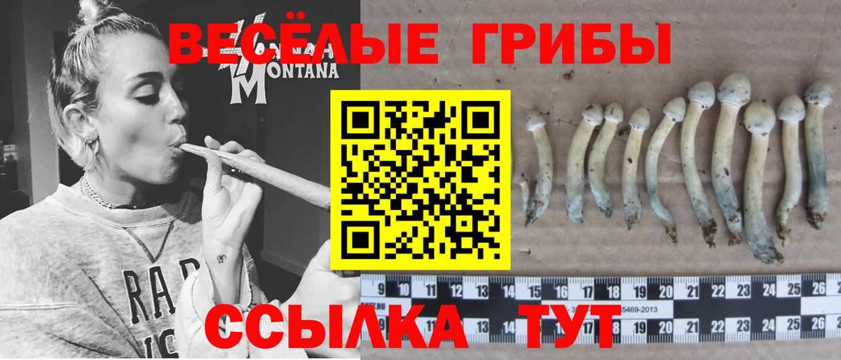 Галлюциногенные грибы Psilocybine cubensis Мирный